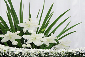 神奈川県厚木市の葬儀